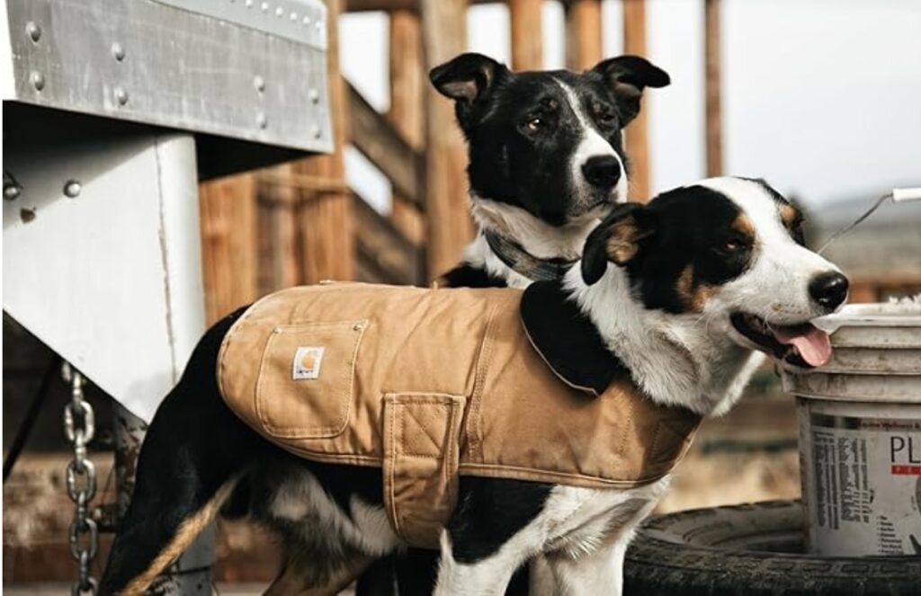 Carhartt PFAS Free Dog Jacket