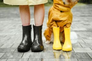 A person and a dog in rain boots, showcasing companionship on a rainy day.